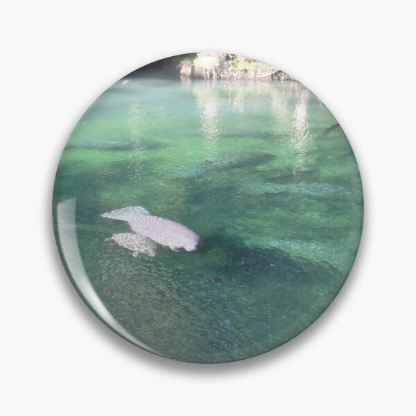 Item preview, Manatees at Blue Springs designed and sold by ValeriesGallery.