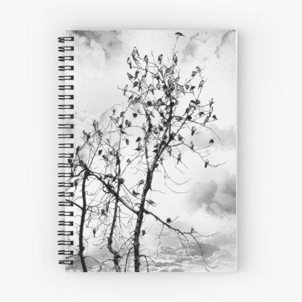 Item preview, Birds of a Feather ~ After the Storm designed and sold by Rhonda Strickland.
