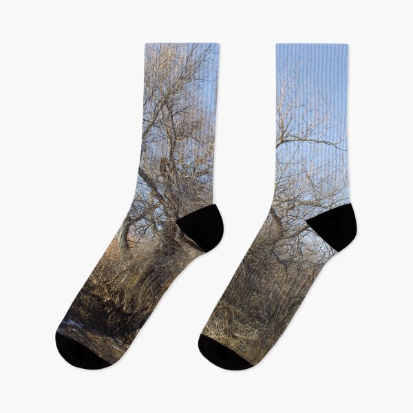Item preview, Autumn and winter nature photography designed and sold by Ventures1.