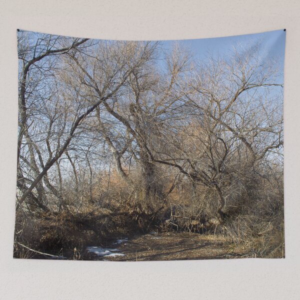 Item preview, Autumn and winter nature photography designed and sold by Ventures1.