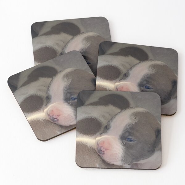 Item preview, Puppies  designed and sold by RunDumy.