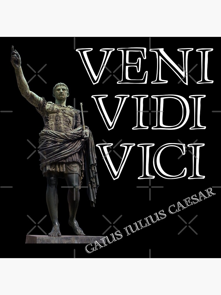 Veni, Vidi, Vici Julius Caesar Quote  Poster for Sale by