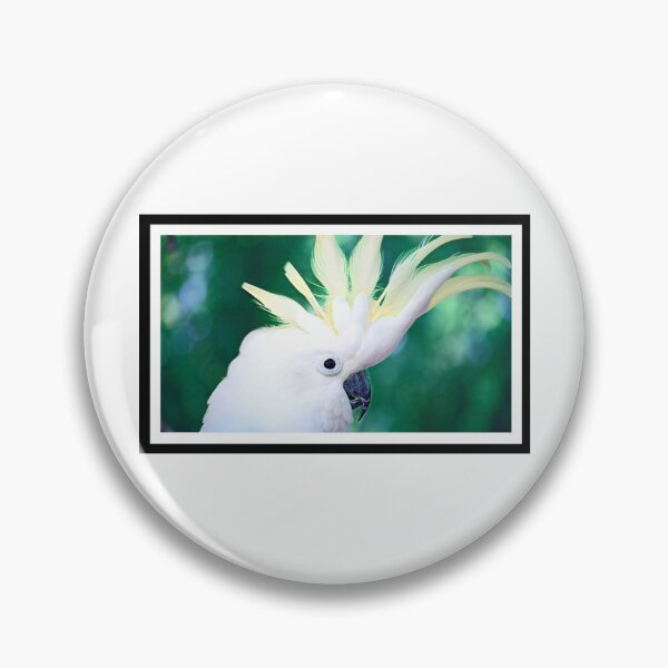 Item preview, cockatoo art, bird, cockatoo parrot, parrot mom, parrot dad, parrot parent, parrot owner, funny parrot humor, parrot meme, bird, parrots designed and sold by The Snarky  Psychologist.