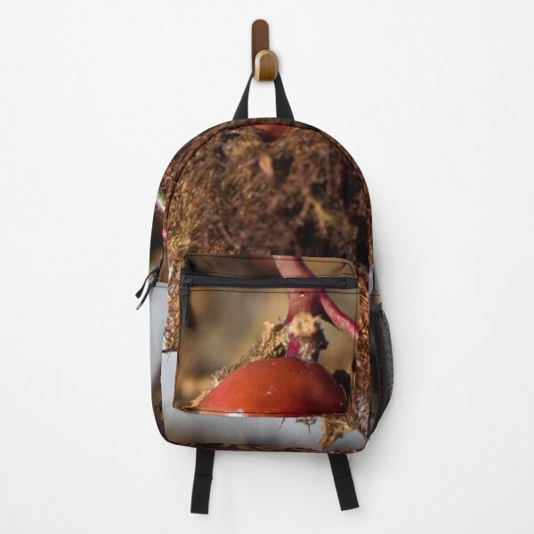 Item preview, Autumn and winter nature photography designed and sold by Ventures1.