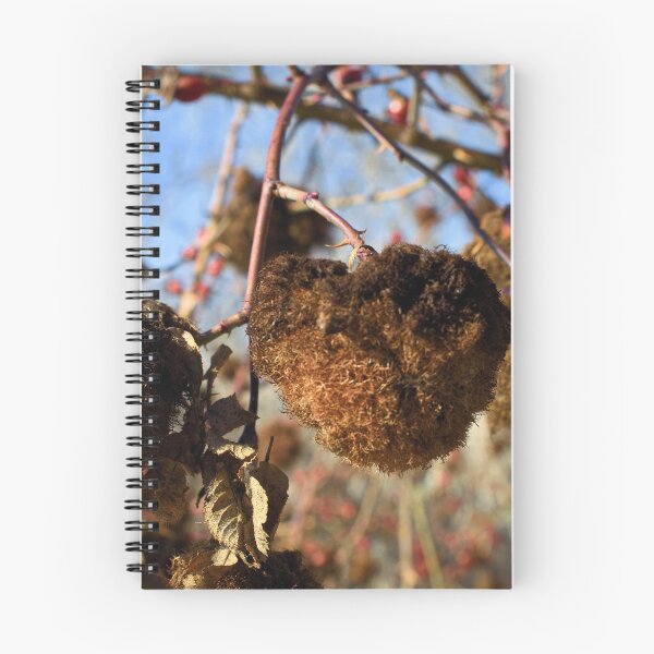 Item preview, Autumn and winter nature photography designed and sold by Ventures1.