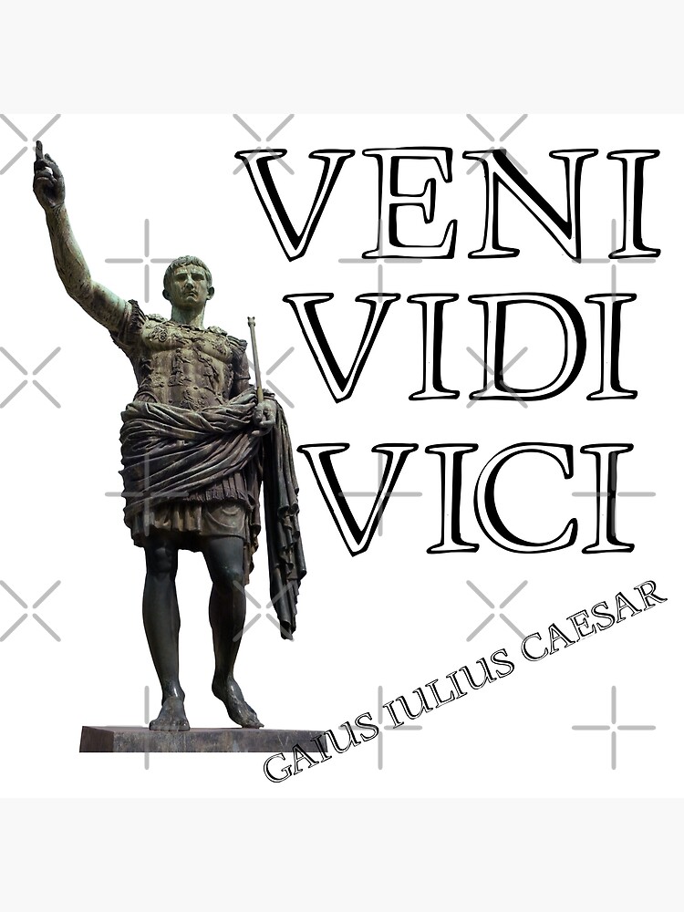 Veni, Vidi, Vici Julius Caesar Quote  Poster for Sale by
