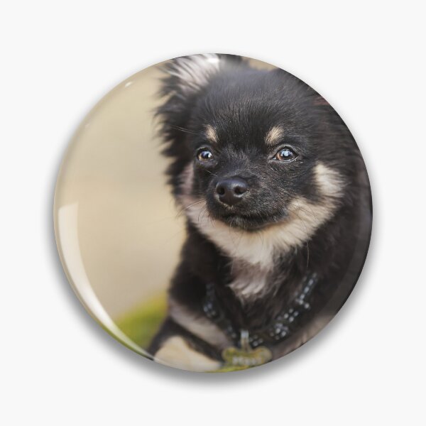 Item preview, Chihuahua designed and sold by Kiraslife.
