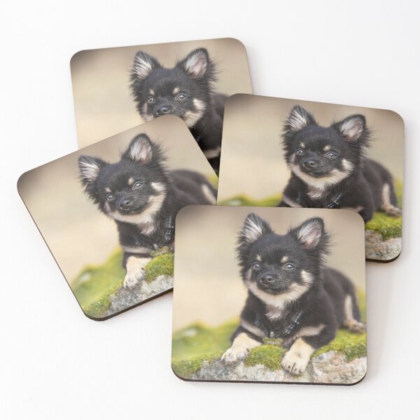 Item preview, Chihuahua designed and sold by Kiraslife.