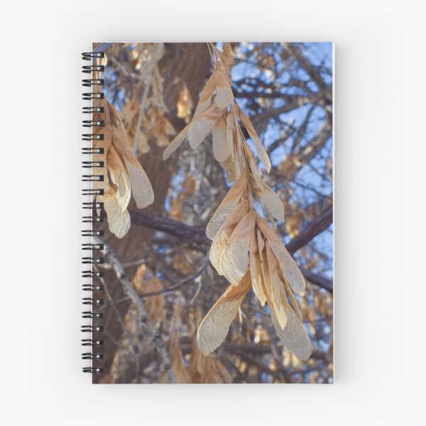 Item preview, Autumn and winter nature photographyCopy of Nature photography in the fall season designed and sold by Ventures1.