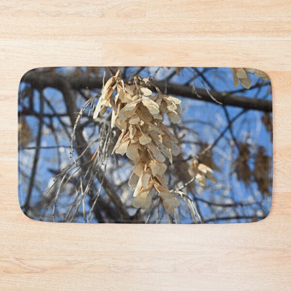 Item preview, Autumn and winter nature photographyCopy of Nature photography in the fall season designed and sold by Ventures1.