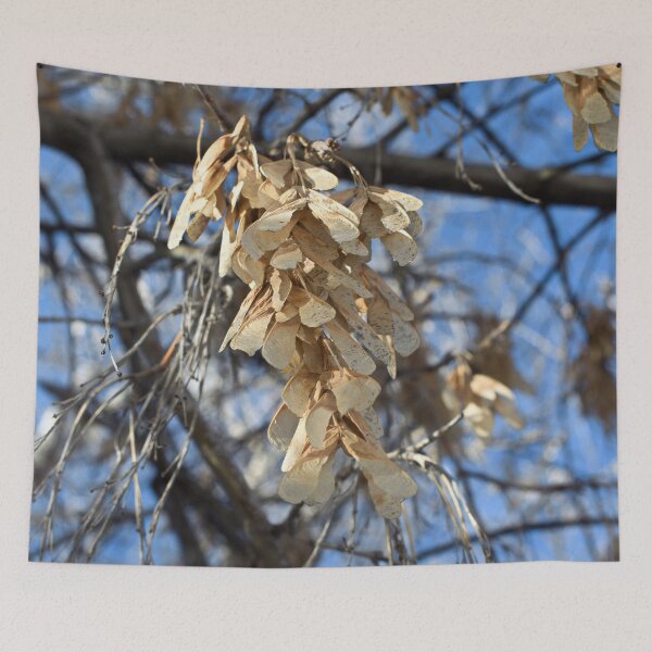 Item preview, Autumn and winter nature photographyCopy of Nature photography in the fall season designed and sold by Ventures1.