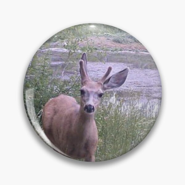 Item preview, Mule Deer designed and sold by Backyardtrail.