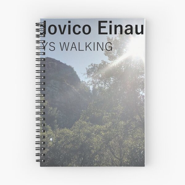 Item preview, ludovico Einaudi designed and sold by ranzas.