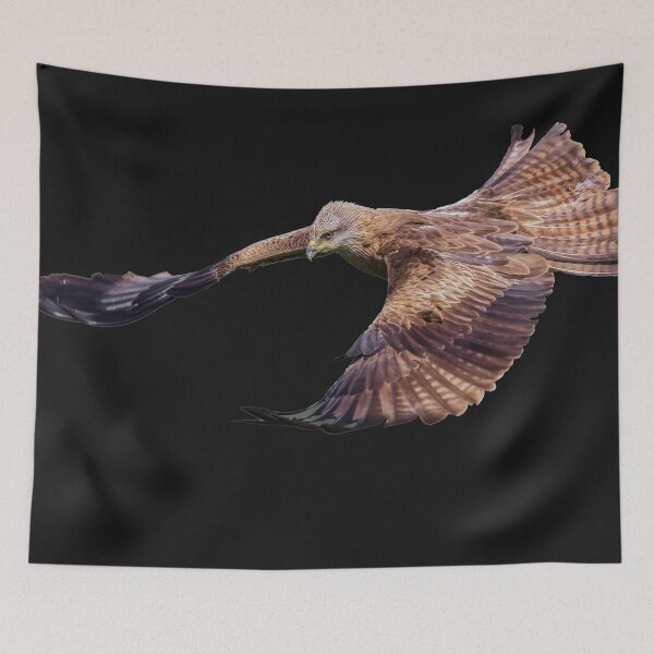 Item preview, Falcon designed and sold by Kiraslife.