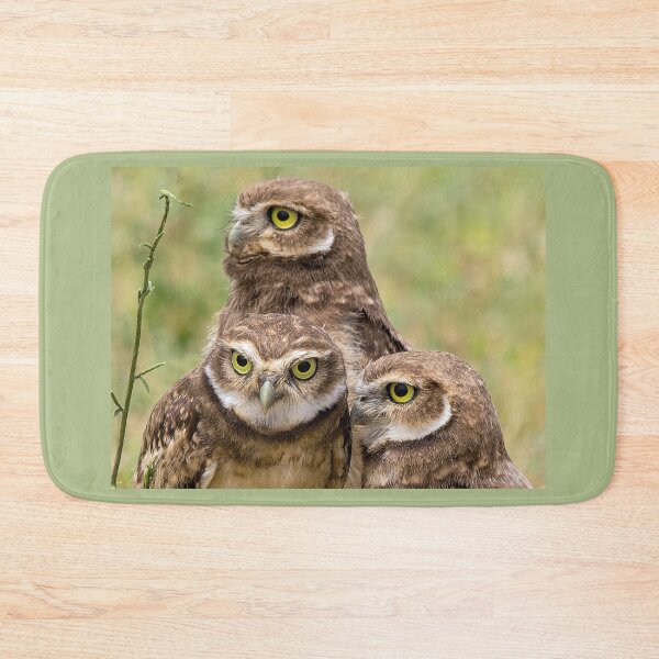 Item preview, Burrowing Owls Family Portrait designed and sold by CarolM.