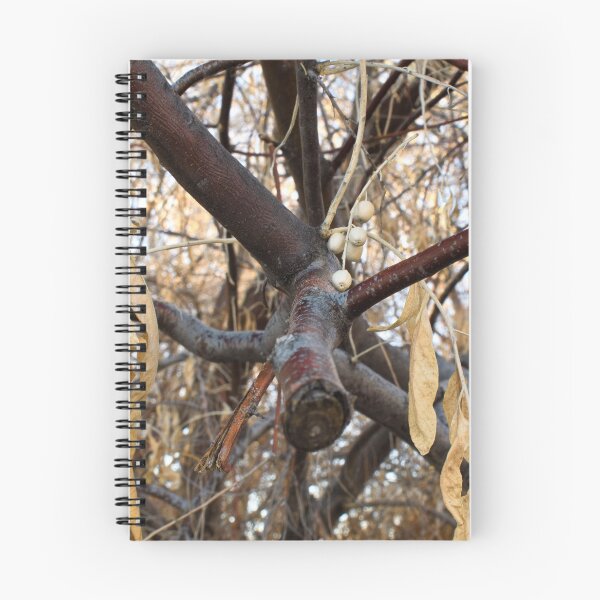 Item preview, Autumn and winter nature photography designed and sold by Ventures1.