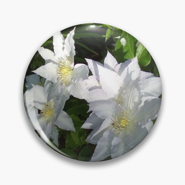 Item preview, White clematis in a shady nook designed and sold by nighthawkstudio.