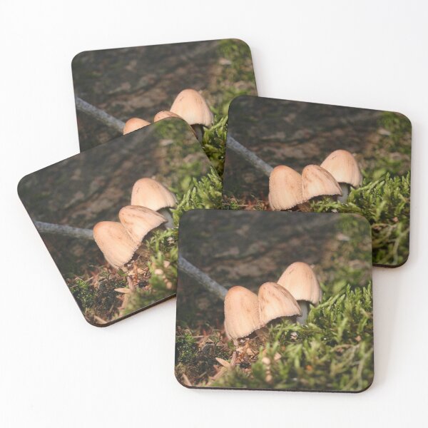 Item preview, Tres setas en rama cubierta de musgo designed and sold by KsbAesthetics.