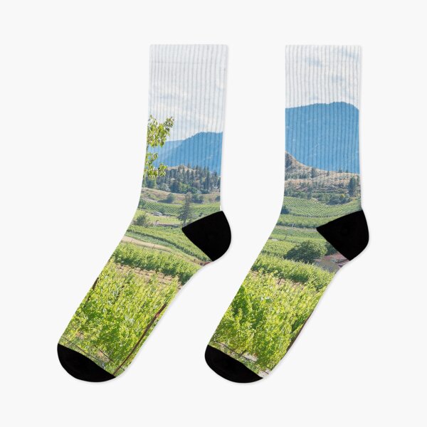 Item preview, Summertime View of Naramata Bench Vineyards - Okanagan Valley designed and sold by Amy Mitchell.