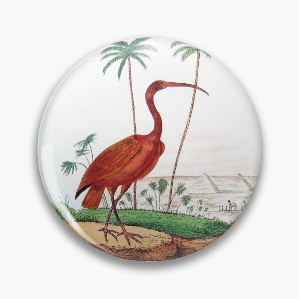 Item preview, The Scarlet Ibis designed and sold by louisxvpod.