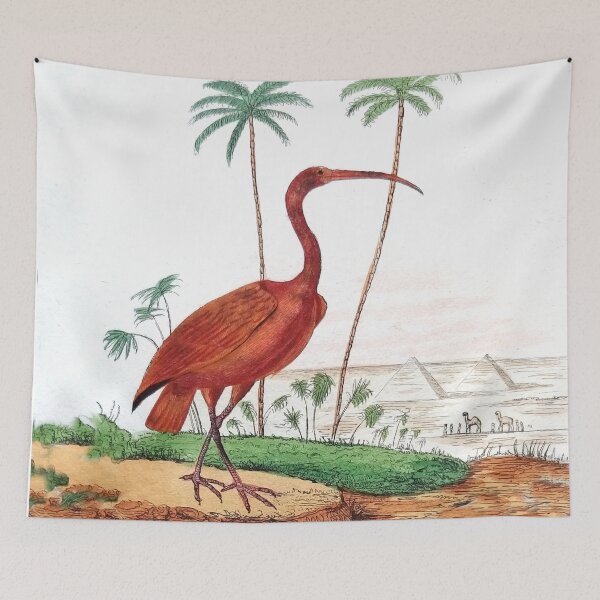 Item preview, The Scarlet Ibis designed and sold by louisxvpod.