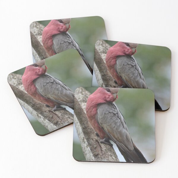 Item preview, Galah designed and sold by TheaShutterbug.