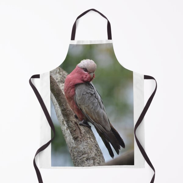 Artikelvorschau, Galah entworfen und verkauft von TheaShutterbug.