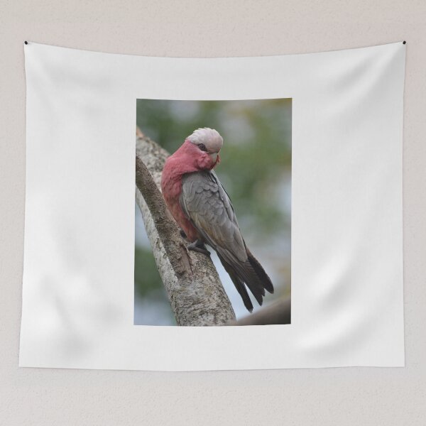 Item preview, Galah designed and sold by TheaShutterbug.