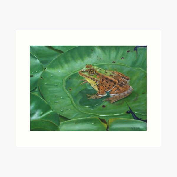 Frog On Lily Pad Gifts Merchandise For Sale Redbubble