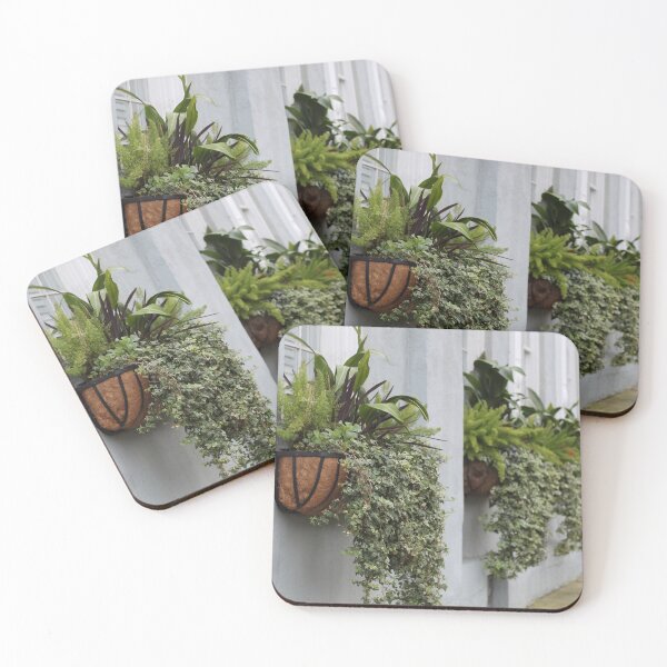 Item preview, Charleston's Beauty  designed and sold by letthefinbegin.