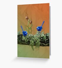 Blue Wrens & Winter Orchids Western Australia Greeting Card