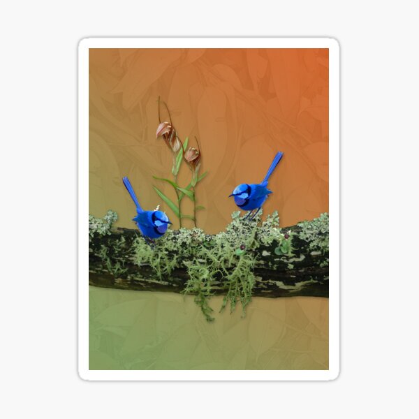 Blue Wrens & Winter Orchids Western Australia Sticker