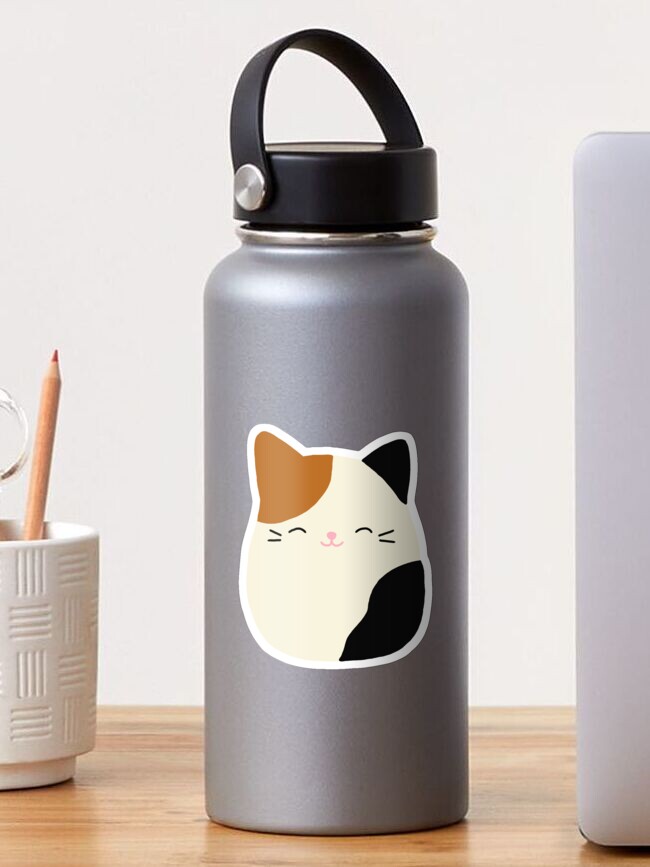 squishmallow cameron