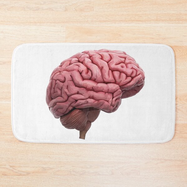 Item preview, Scientific Human Brain Study designed and sold by Deborah Camp.