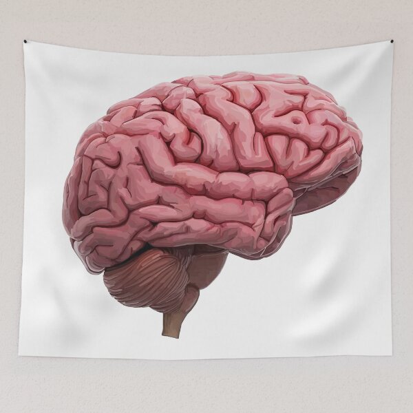 Item preview, Scientific Human Brain Study designed and sold by Deborah Camp.