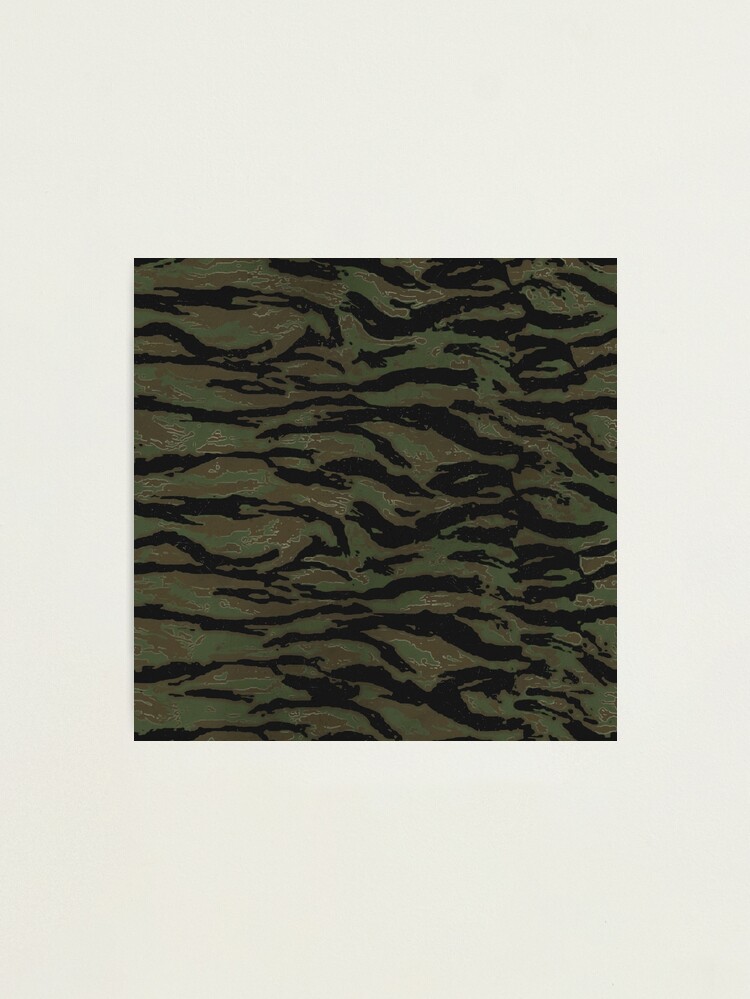 fpp,medium,lustre,wall_texture