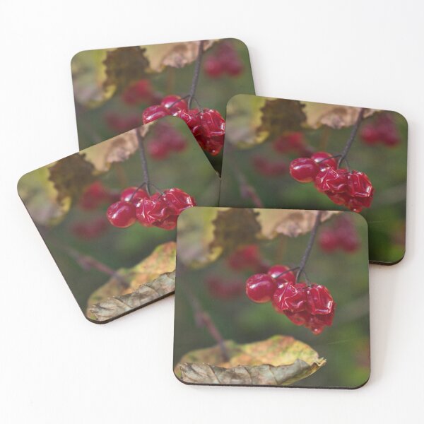Item preview, High Bush Cranberries in September designed and sold by mahnkephotos.