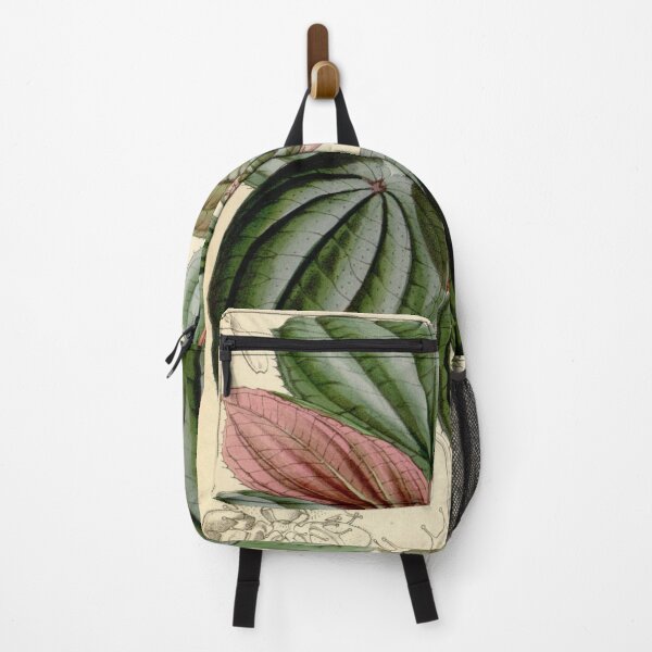 Item preview, Bertolonia maculata 76 4551 designed and sold by EsotericBotanic.