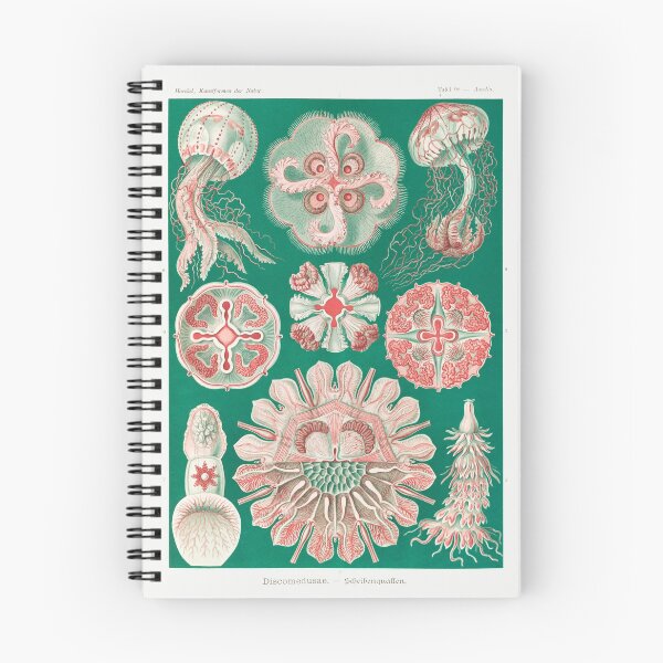 Item preview, Antique German Biology Scientific Illustration of Jellyfish Sea Life  designed and sold by Karianne Potter.