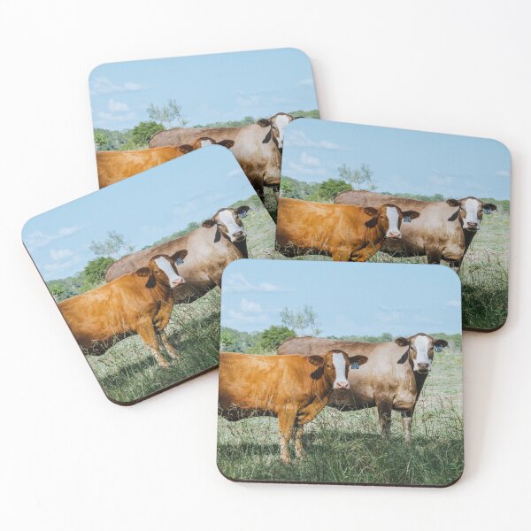 Item preview, Mississippi Cattle designed and sold by jacindasgarner.