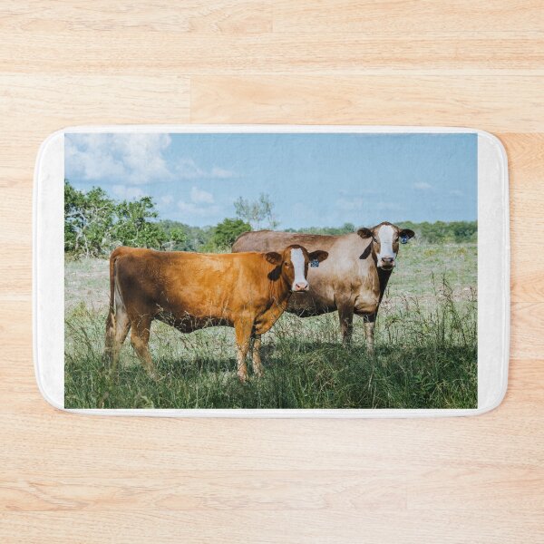Item preview, Mississippi Cattle designed and sold by jacindasgarner.