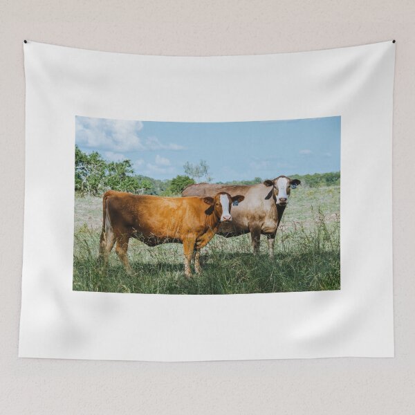 Item preview, Mississippi Cattle designed and sold by jacindasgarner.