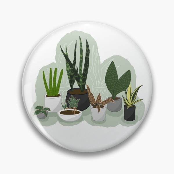 Item preview, Sansevieria Party designed and sold by girlwhoplants.