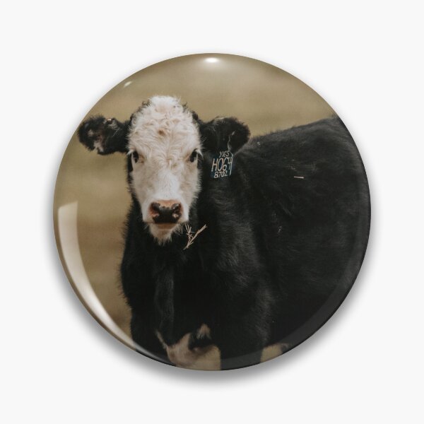 Item preview, Black Baldy Calf designed and sold by jacindasgarner.