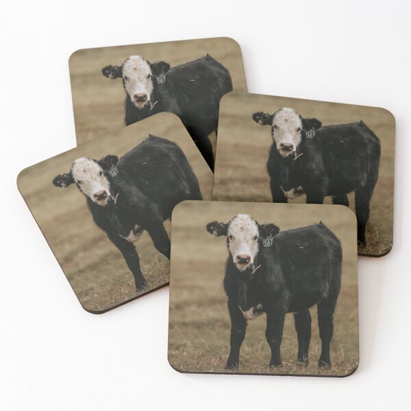Item preview, Black Baldy Calf designed and sold by jacindasgarner.