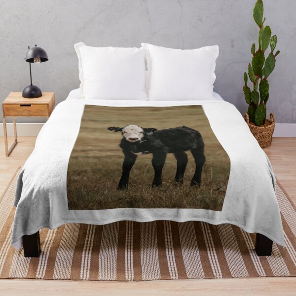 Item preview, Black Baldy Calf designed and sold by jacindasgarner.
