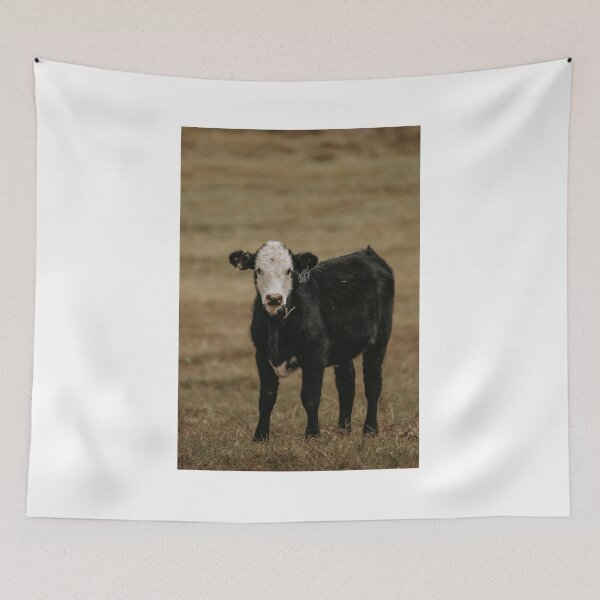 Item preview, Black Baldy Calf designed and sold by jacindasgarner.