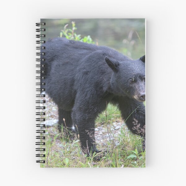 Item preview, Black Bear Sow designed and sold by Jim Stiles.