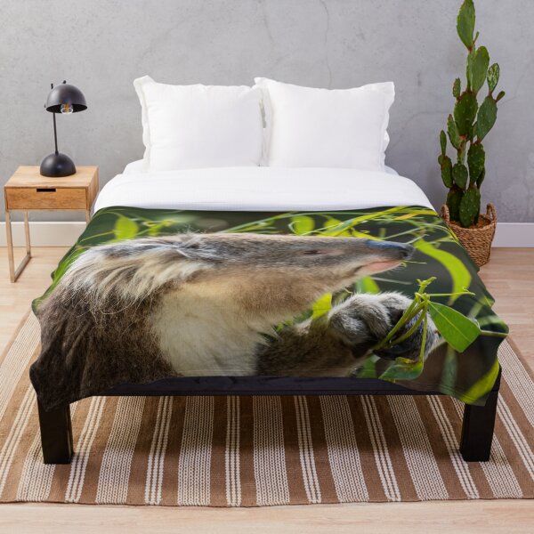 "Koala Mouthful" - Native Australian Animals|Cute Australian Animals Throw Blanket