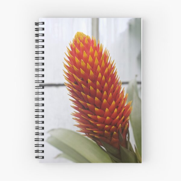 Item preview, Orange and yellow flower photograph designed and sold by taylaphotos.